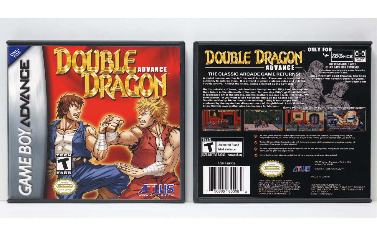 Double Dragon Advance nintendo Game Boy Advance 2003 Game 